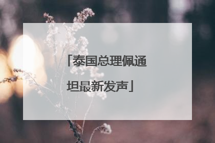 泰国总理佩通坦最新发声
